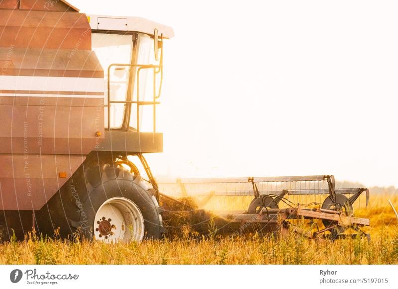 Mähdrescher bei der Arbeit im Feld. Ernte von Weizen in der Sommersaison. Landwirtschaftliche Maschinen Sammeln von Weizen-Samen Erntemaschine