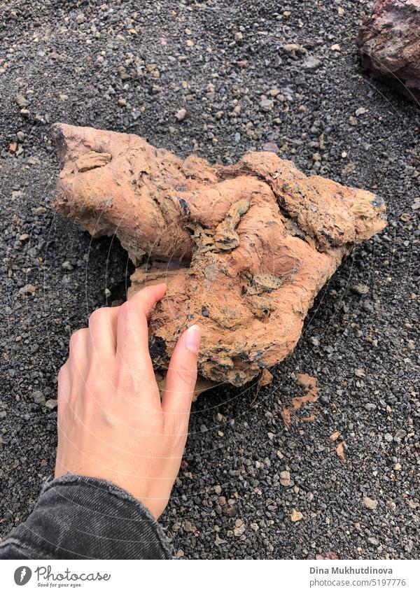 Hand, die ein Stück Eruptivgestein hält. vulkanisches Material. Vulkanausbruch.  Vertrockneter Lavabrocken in einem Krater auf schwarzem Boden auf Lanzarote, Spanien.