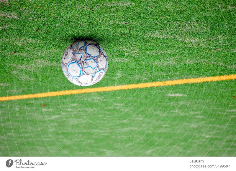 Die Fußballwelt steht Kopf Ball Fußballplatz Stadion Rasen Rasenfläche Linien Markierung Markierungslinie Ballsport Sportstätten grün Sportveranstaltung