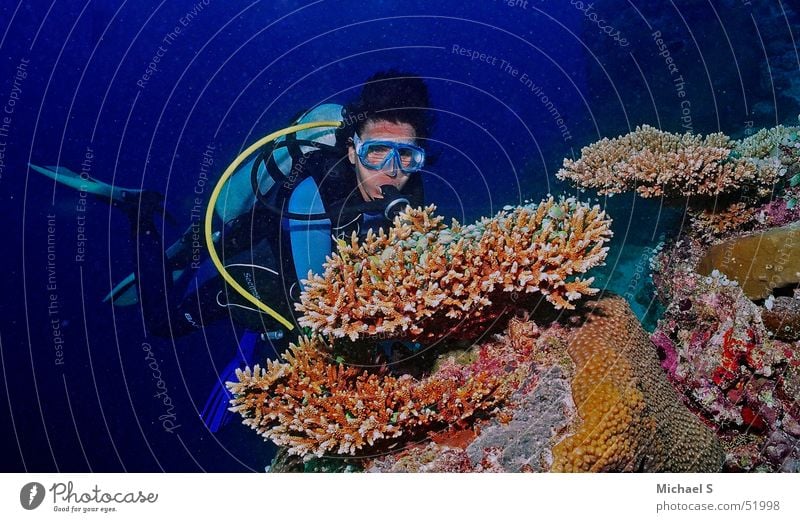 Taucher am Korallenblock Unterwasseraufnahme Ferien & Urlaub & Reisen Malediven