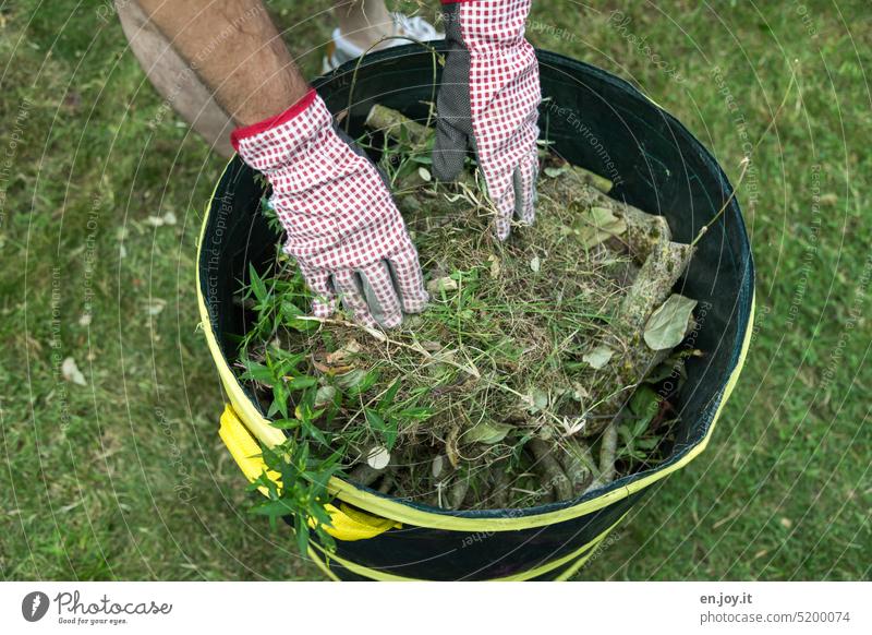 Gartenarbeit - Mann mit Gartenhandschuhen sammelt Grünmüll in Behälter ein - es geht wieder los Gärtner Freizeit & Hobby Grünschnitt Gartenabfall Abfall Rasen