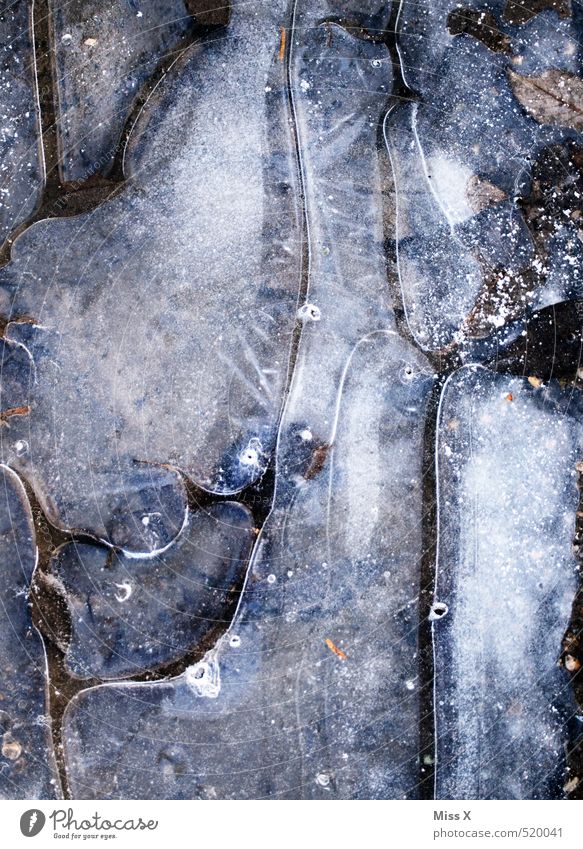 Eiszeit Luft Wasser Winter Frost Schnee kalt Pfütze gefroren Luftblase Wasseroberfläche Schwarzweißfoto Gedeckte Farben Außenaufnahme Nahaufnahme Detailaufnahme