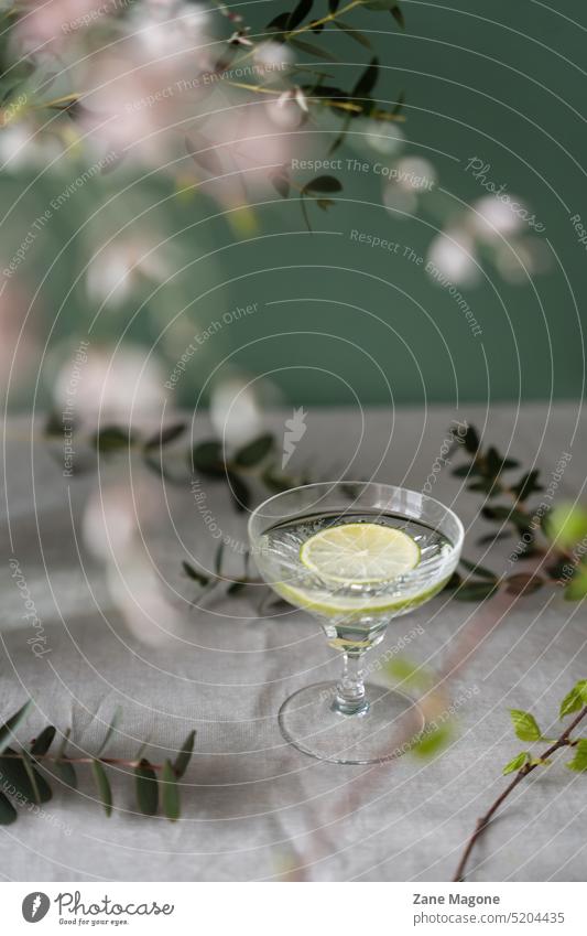 Sprudelgetränk mit Limette, Grün und Frühling grün trinken altehrwürdig schick Ostern stylisch Cocktail Gin Tonic Feier Lifestyle Zwanziger Jahre gatsby