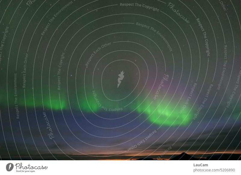 Der große Wagen im Polarlicht großer Wagen Nachthimmel Leuchten grün lila Horizont Himmel aurora borealis Aurora Nordlicht Lichterscheinung nördlich Island