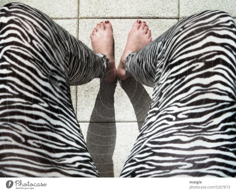 Barfuß! Frauenbeine mit Zebra Hose Beine feminin Fuß Zebrastreifen zebramuster Legings Mensch Schatten Strumpfhose Erwachsene sitzen Füße zusammen originell