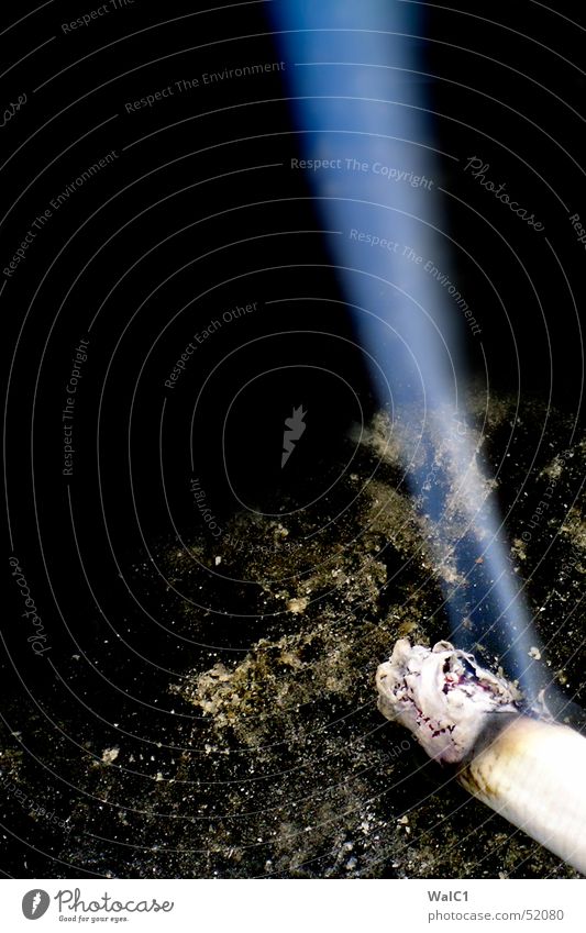 Der Brauch mit Rauch Zigarette Aschenbecher schwarz Nikotin Teer Glut blau Nebel Brandasche lucky strike smoke dreckig