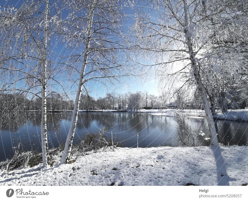 Wintermorgen am See Wintertag Winterstimmung Baum Birke Sonnenschein Sonnenlicht Wasser Licht Schatten Schnee Kälte Frost Idylle idyllisch Stimmung Himmel