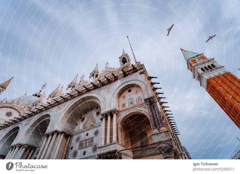 Detail des Glockenturms Campanile di San Marco und der Kathedrale Cattedrale di San Marco in Venedig und fliegende Möwen. Venedig, Italien Turm Klingel Erbe