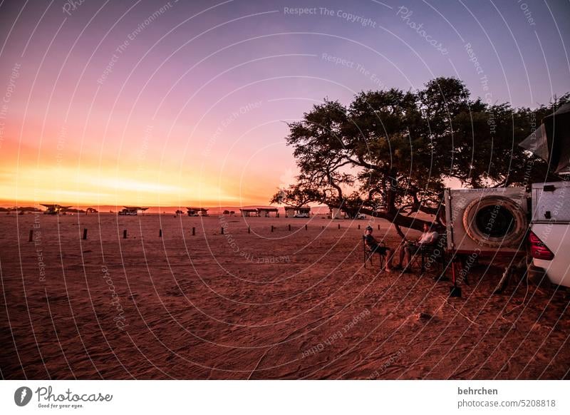 sonnengeschichten Sesriem traumhaft Himmel Ferne Abend Dämmerung Sonnenuntergang Abenddämmerung Baum Namibia reisen Fernweh besonders Natur Landschaft Zelt