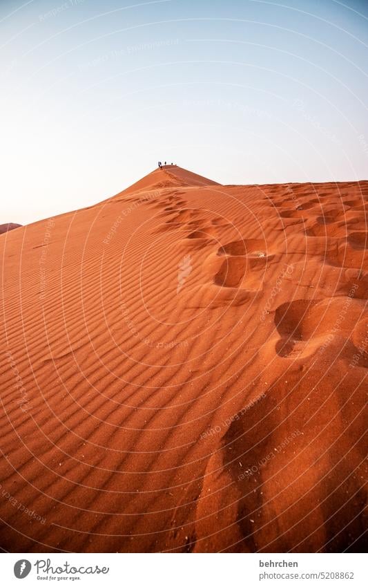 spuren im sand Sossusvlei Außenaufnahme Namibia Ferne Afrika Wüste Sand Sesriem Fernweh reisen Farbfoto Landschaft Einsamkeit Abenteuer Freiheit Natur