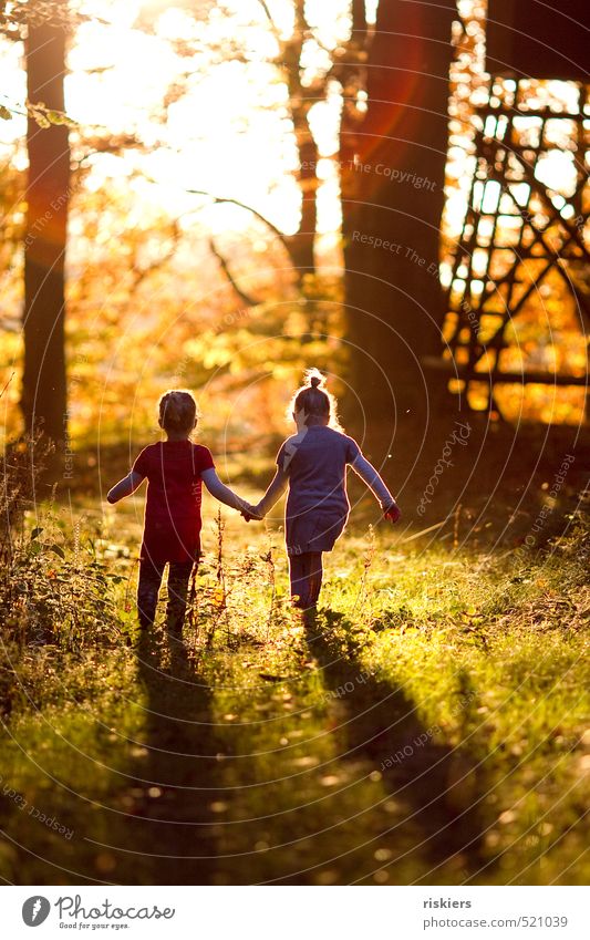 it´s a beautiful day Mensch feminin Kind Mädchen Geschwister Schwester Kindheit 2 3-8 Jahre Natur Sonne Herbst Schönes Wetter Wald entdecken Erholung leuchten