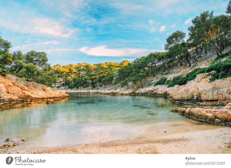 Cassis, Calanques, Frankreich. Französische Riviera. Schöne Natur der Cote De Azur an der Azurblauen Küste von Frankreich. Pinien Wachsende Auf Klippen Küste De Port Pin