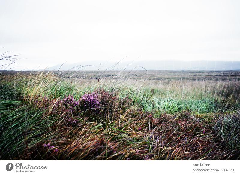 Burren II, Irland 08.2018 Landschaft Republik Irland Natur Küste Felsen Außenaufnahme Tag Himmel Textfreiraum oben Farbfoto weite Karstlandschaft Nationalpark