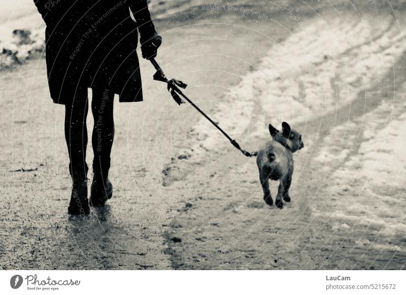 Zusammen unterwegs - egal wie das Wetter wird Gassi gehen Gassigehen mit dem Hund rausgehen Bewegung Haustier Spaziergang laufen Auslauf draußen Freundschaft