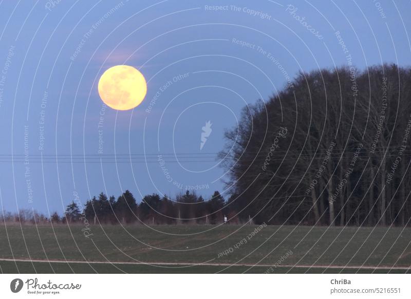 Vollmond über der abendlichen Landschaft nahe Ulm Mond Himmel Nacht dunkel Nachthimmel Mondschein Stimmung leuchten Mondaufgang geheimnisvoll Natur Farbfoto