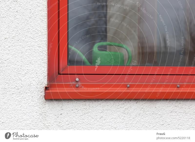 Grüne Gießkanne im roten Fenster Haus Gebäude Wand Fassade Putz grün Kontrast Farbe Spiegelung Durchsicht Detail angeschnitten