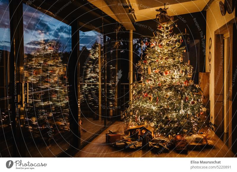 Geschmückter Weihnachtsbaum im Wintergarten Weihnachten & Advent Weihnachtsbeleuchtung Tannenbaum Geschenke Feste & Feiern christbaum Christbaumschmuck