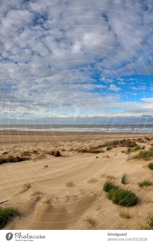 Nordsee (Belgien) Nordseeküste Urlaub Ausflug Meer Wasser Erholung Fernweh Ferien & Urlaub & Reisen Strand Natur Sand Himmel Landschaft Tourismus Küste