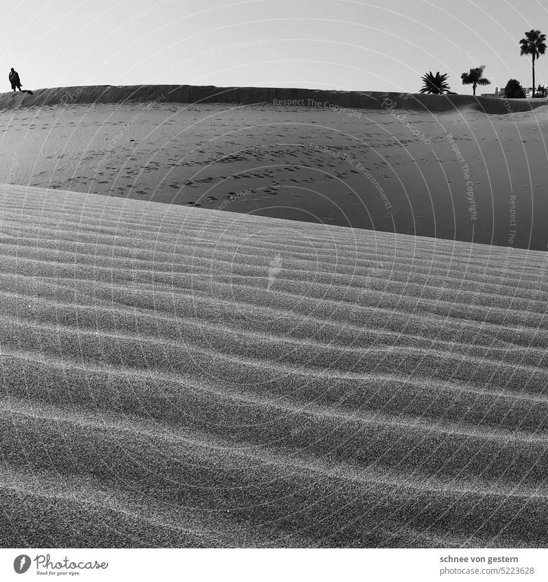 Immer noch sw Wüste Sand Stranddüne Kamel Himmel Dromedar Ferien & Urlaub & Reisen Marokko Düne heiß Abenteuer Wärme Tourismus Sommer Außenaufnahme Schatten