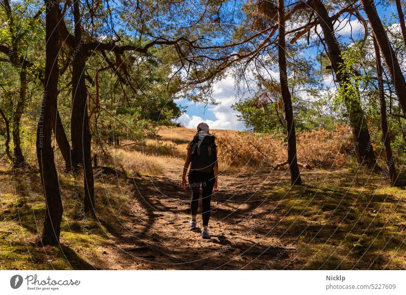eine junge schlanke Frau mit großem Rucksack beim Wandern tritt aus einem Wald auf ein offenes Feld bei strahlend blauem Himmel im Sommer wandern Schlank Natur