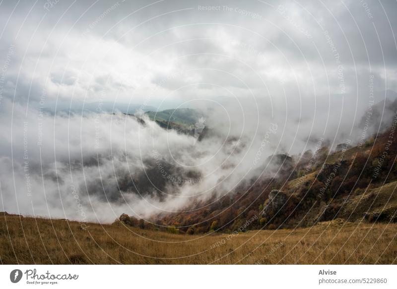 2022 10 23 Durlo mehrfarbige Täler 13 Landschaft Nebel Laubwerk Alpen Natur Berge u. Gebirge Wald Morgen Hügel reisen malerisch schön Baum Ansicht Herbst grün