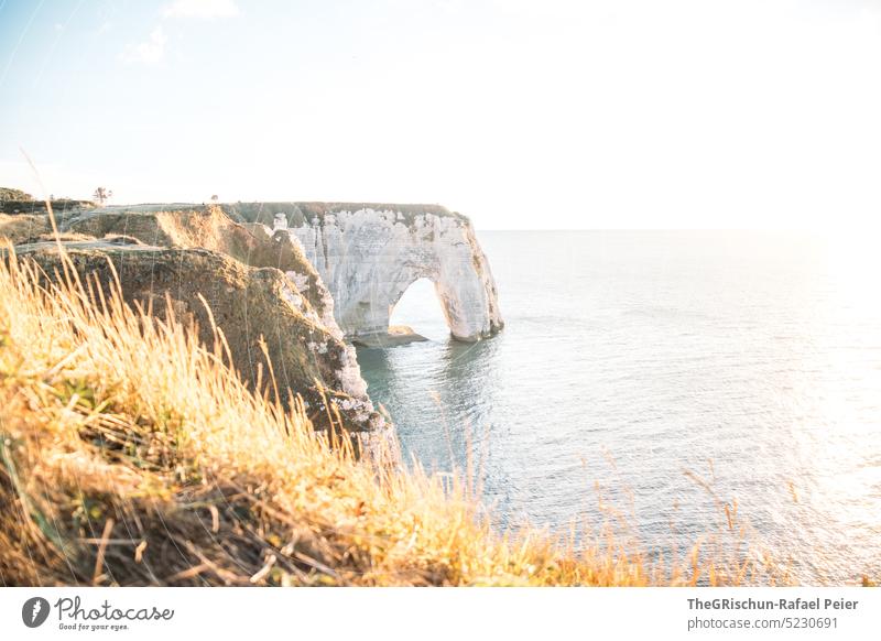 Küste mit Felsen und Meer im Sonnenuntergang Steinstrand Frankreich Normandie Étretat Stimmung Abendstimmung Wolken Klippen Landschaft Natur Außenaufnahme