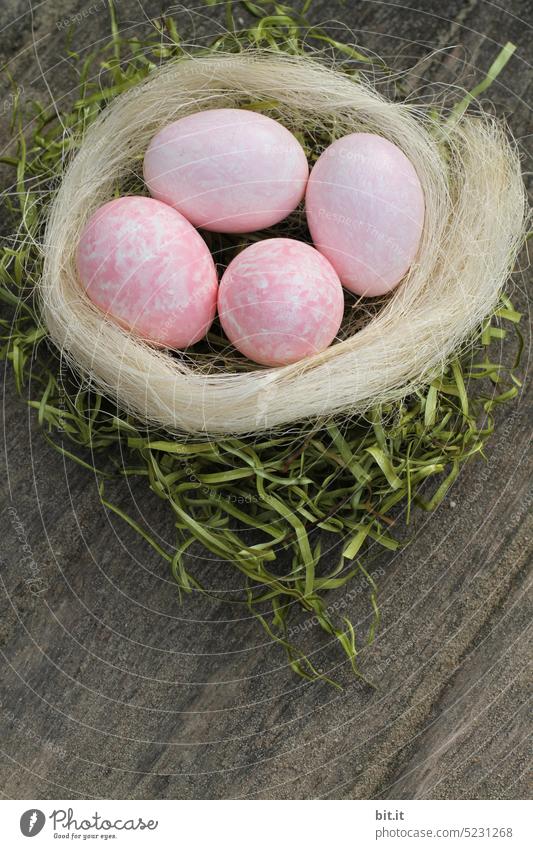 frohe Ostern... Osterei Osternest Ei Dekoration & Verzierung Tradition Feste & Feiern Frühling Symbole & Metaphern Nest Natur