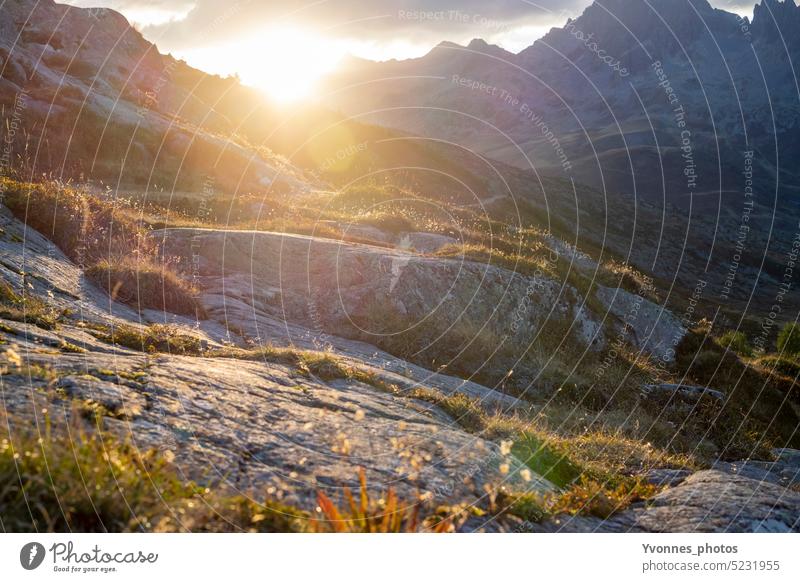 Sonnenuntergang am Berg Licht Lichtschein Natur Berge u. Gebirge Gegenlicht Landschaft Alpen Stimmung Lichtstimmung Blendenfleck Sonnenlicht Außenaufnahme