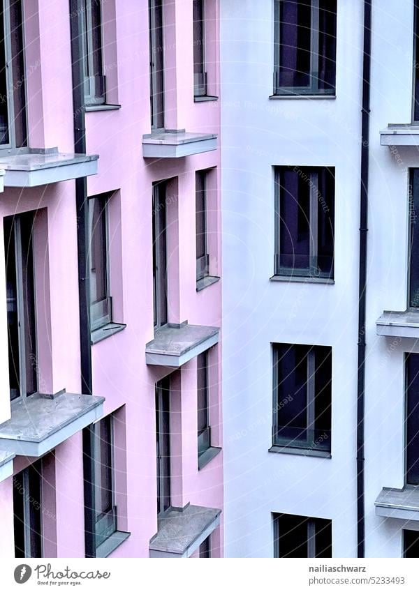 Fassade Muster Bauwerk Stil modern Symmetrie Gedeckte Farben Fenster Architektur Haus farbenfroh Fensterfront Wand Farbenfrohe Gebäude Gebäudekomplex rosa blau
