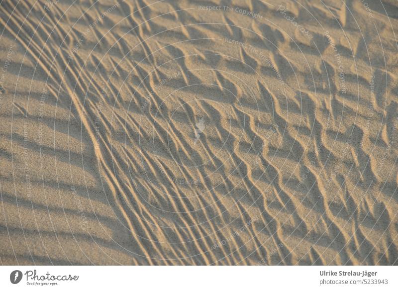 abstrakte Spuren im Sand am Abend Reifenspuren Sandstrand Wellen Wellenmuster Muster Strand Strukturen & Formen Formen und Strukturen Reifenprofil Profil