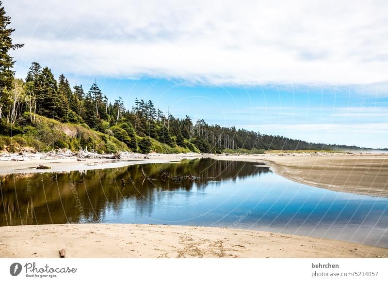 spiegeleigeschichten Reflexion & Spiegelung Spiegelung im Wasser Strand Wolken Landschaft Natur Küste weite Fernweh Himmel Meer Idylle Sehnsucht