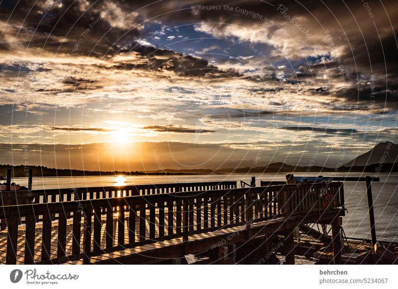 manchmal wirds romantisch Schatten Dämmerung Sonnenlicht wunderschön Berge u. Gebirge Steg Vancouver Island Meer Sehnsucht stille friedlich Himmel weite Ferne