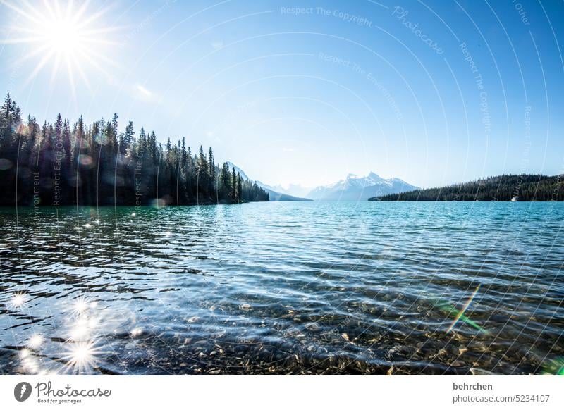 kanada Maligne Lake Rocky Mountains See Fernweh Ferien & Urlaub & Reisen Wald Ferne Kanada Abenteuer Natur Landschaft Nordamerika Himmel Alberta Wasser Seeufer