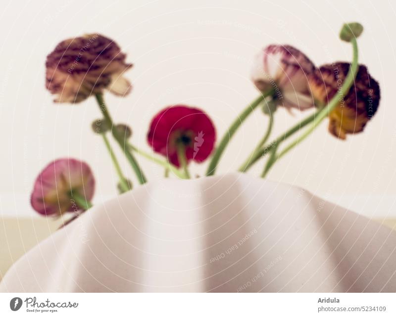 Bunte Ranunkeln in rosa Vase No. 1 bunt Blumenstrauß Frühling Blüte Dekoration & Verzierung schön Innenaufnahme Regal pastell