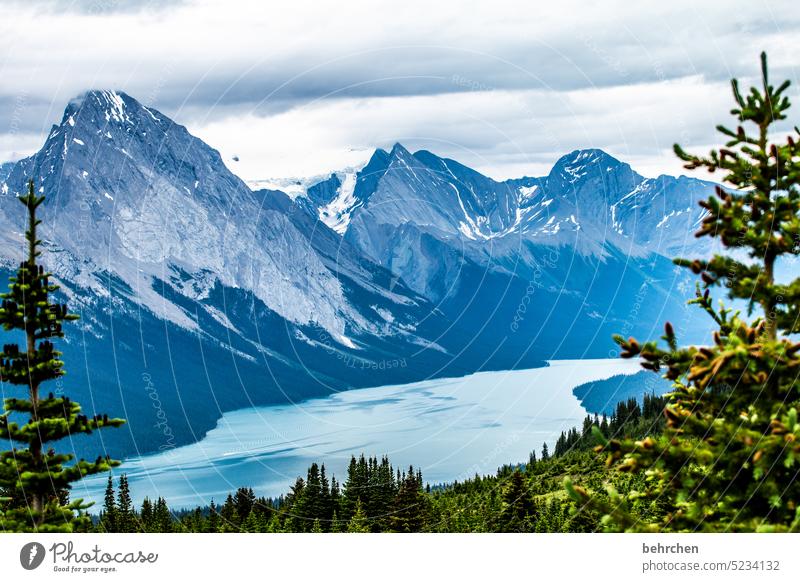 lieblingsorte Maligne Lake Gletscher See Wetter Wolken beeindruckend hoch oben Rocky Mountains Fernweh Ferien & Urlaub & Reisen Freiheit Berge u. Gebirge Wald