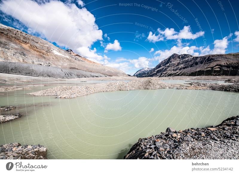 schmelzsee Schmelzwasser Abenteuer Athabasca Glacier Gletscher Icefield Parkway Banff National Park kalt Eis Kälte beeindruckend Umwelt Umweltschutz Eiskristall