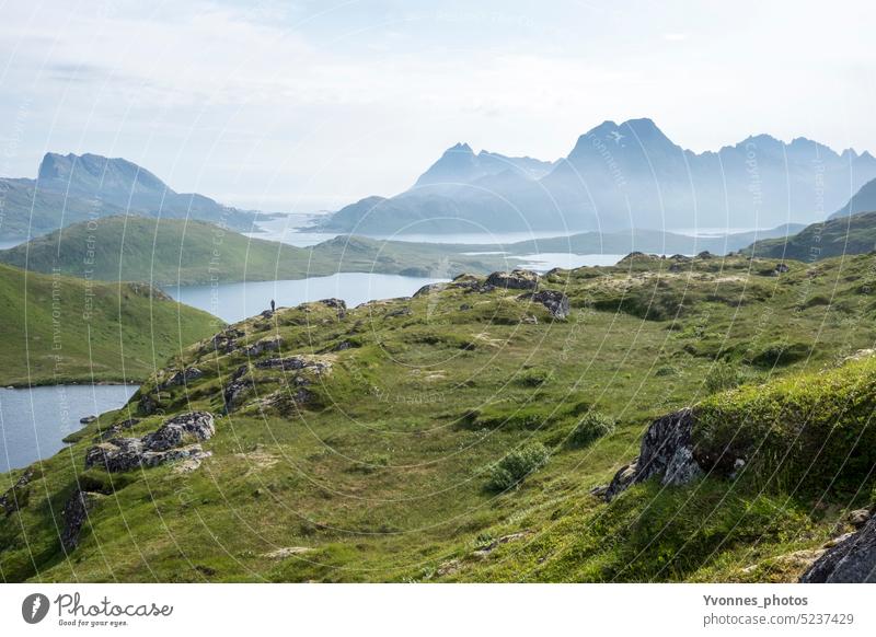 Einsame landschaft mit Wanderer in Norwegen Lofoten Skandinavien Einsamkeit Landschaft Ryten Fjord Berge u. Gebirge wandern Abenteuer sommer Menschenleer