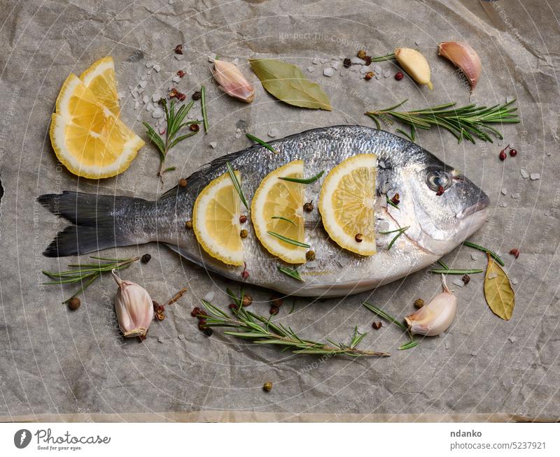 Roher ganzer Goldbrassenfisch auf braunem Pergamentpapier und Gewürzen zum Kochen, Draufsicht auf schwarzen Tisch roh Dorado Fisch Meeresfrüchte