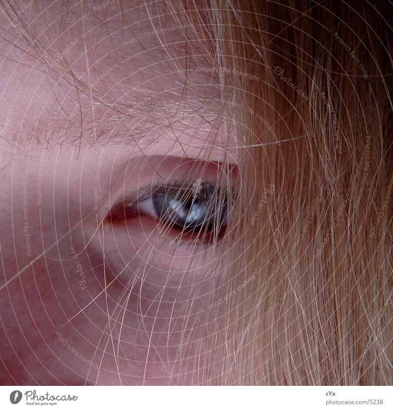 haarig blond verdeckt Augenbraue Wimpern Mensch Haare & Frisuren Gesicht Detailaufnahme Blick