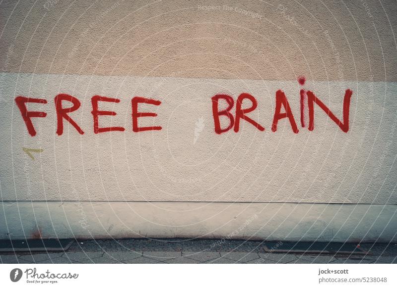FREE BRAIN Free brain frei Denken Straßenkunst Hauswand Schmiererei Schriftzeichen Spray Wort Englisch Kreativität Gedeckte Farben Graffiti Großbuchstabe