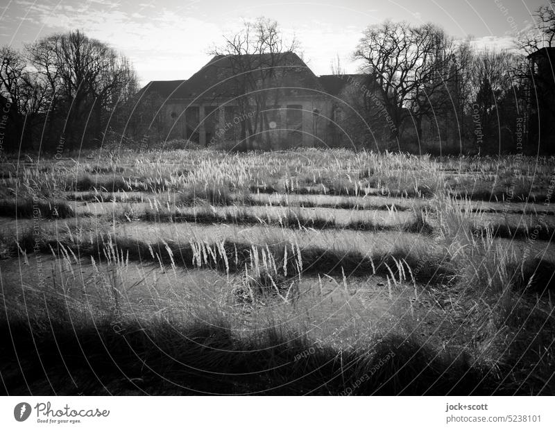 Altes Lager verlassen und bewachsen lost places Ruine Endzeitstimmung Wandel & Veränderung Militärgebäude Platz Monochrom Natur Verfall Renaturierung