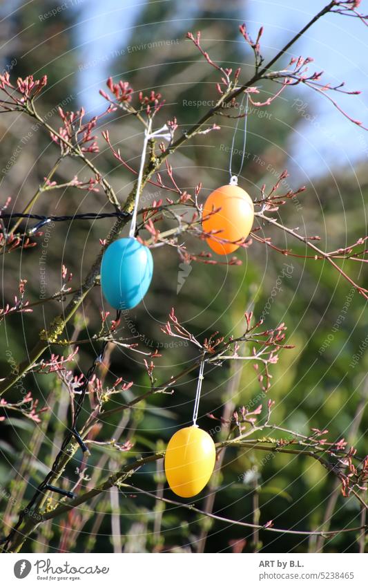 Ostereier am Baum ostereier plastik busch baum zierahorn garten zweige frühling jahreszeit