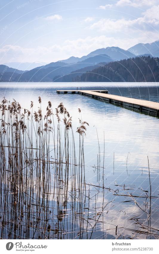Hölzerner Steg an einem See Holzsteg Österreich Wasser Landschaft Natur Idylle Windstille Seeufer Außenaufnahme Himmel Erholung Menschenleer Schilfrohr Seegras