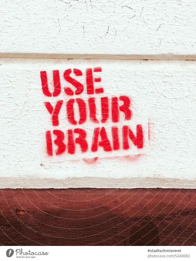 Use your brain! stencil Graffiti Straßenkunst foderu Detailaufnahme Schablonenschrift Subkultur Englisch Spray Vernunft vernünftig Plädoyer ruf