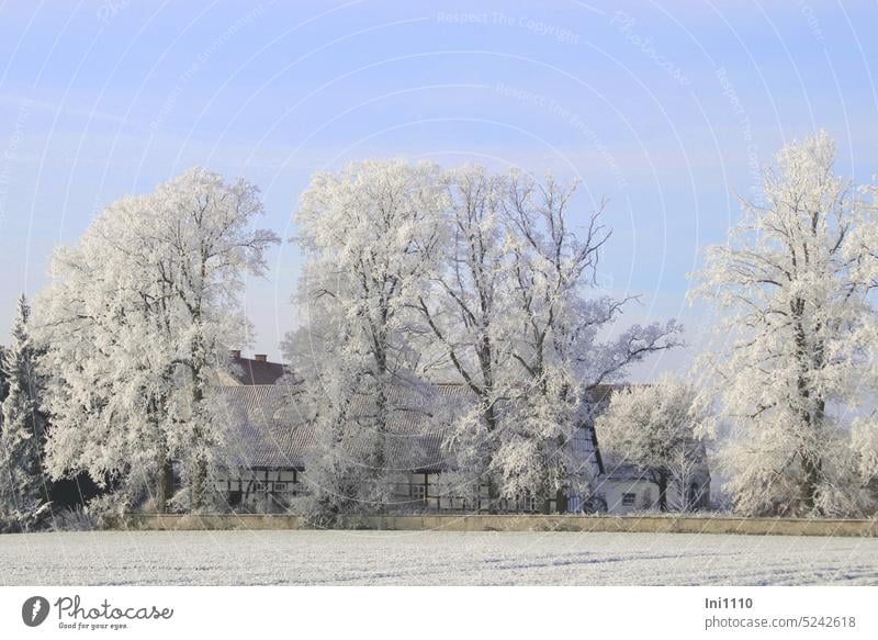 Winterzauber 2021 schönes Wetter Frost klirrende Kälte Bauernhof Eichen Feld Hofmauer Raureif Landschft verzaubert märchenhaft blauer Himmel