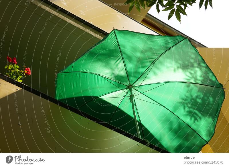 grüner Sonnenschirm und blühende Pflanze auf dem Balkon eines Mehrfamilienhauses Grünpflanze Wohnhaus Frühling Sonnenschutz Sichtschutz Sonnenbad Neubausiedlung