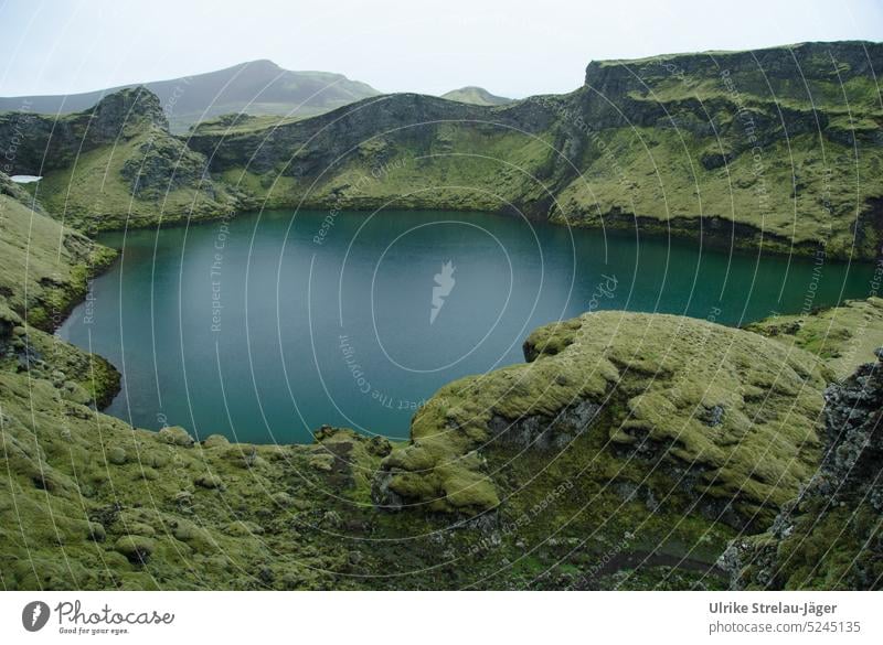 Island | ruhiger Kratersee in der Nähe des Askja Vulkans Vulkankrater Vulkane Vulkanismus Natur moosgrün vulkanisch Vulkaninsel Vulkanologie