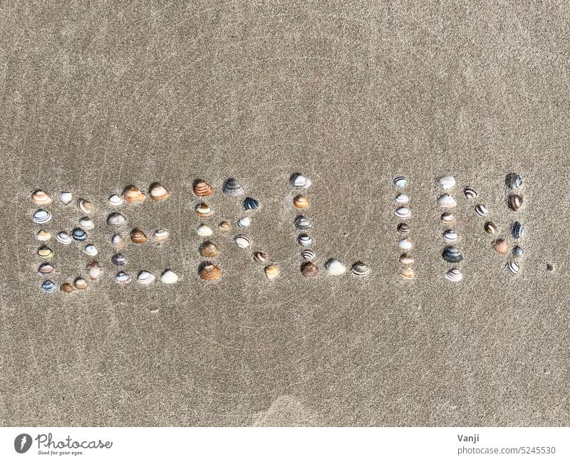 Berlin Schriftzug Muscheln Buchstaben Strand Sand Meer Küste Sommer Wasser Natur Ferien & Urlaub & Reisen Außenaufnahme Farbfoto Tourismus Nordsee Tag