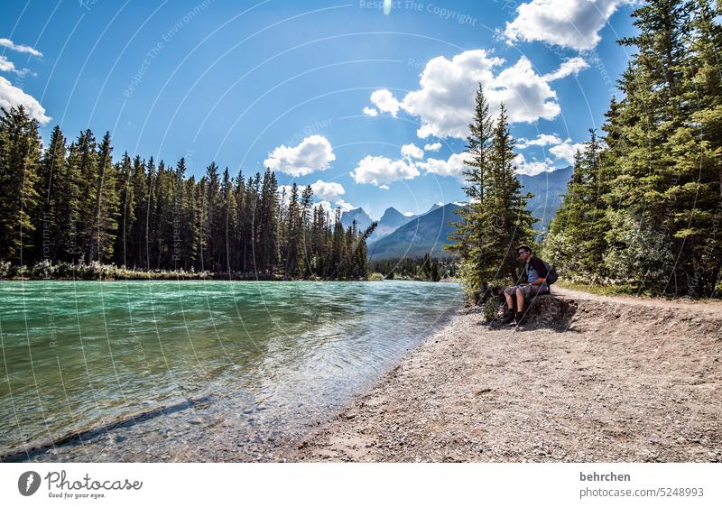 alles ist im fluss Wasser Abenteuer Bäume Wald Ferne Fluss Ferien & Urlaub & Reisen Fernweh Banff National Park Alberta Rocky Mountains Nordamerika canmore