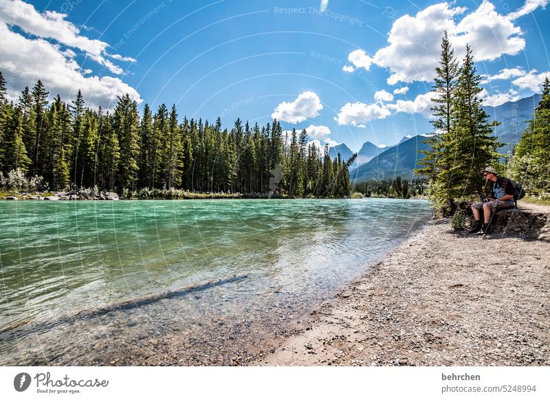 alles ist im fluss Wasser Abenteuer Bäume Wald Ferne Fluss Ferien & Urlaub & Reisen Fernweh Banff National Park Alberta Rocky Mountains Nordamerika canmore